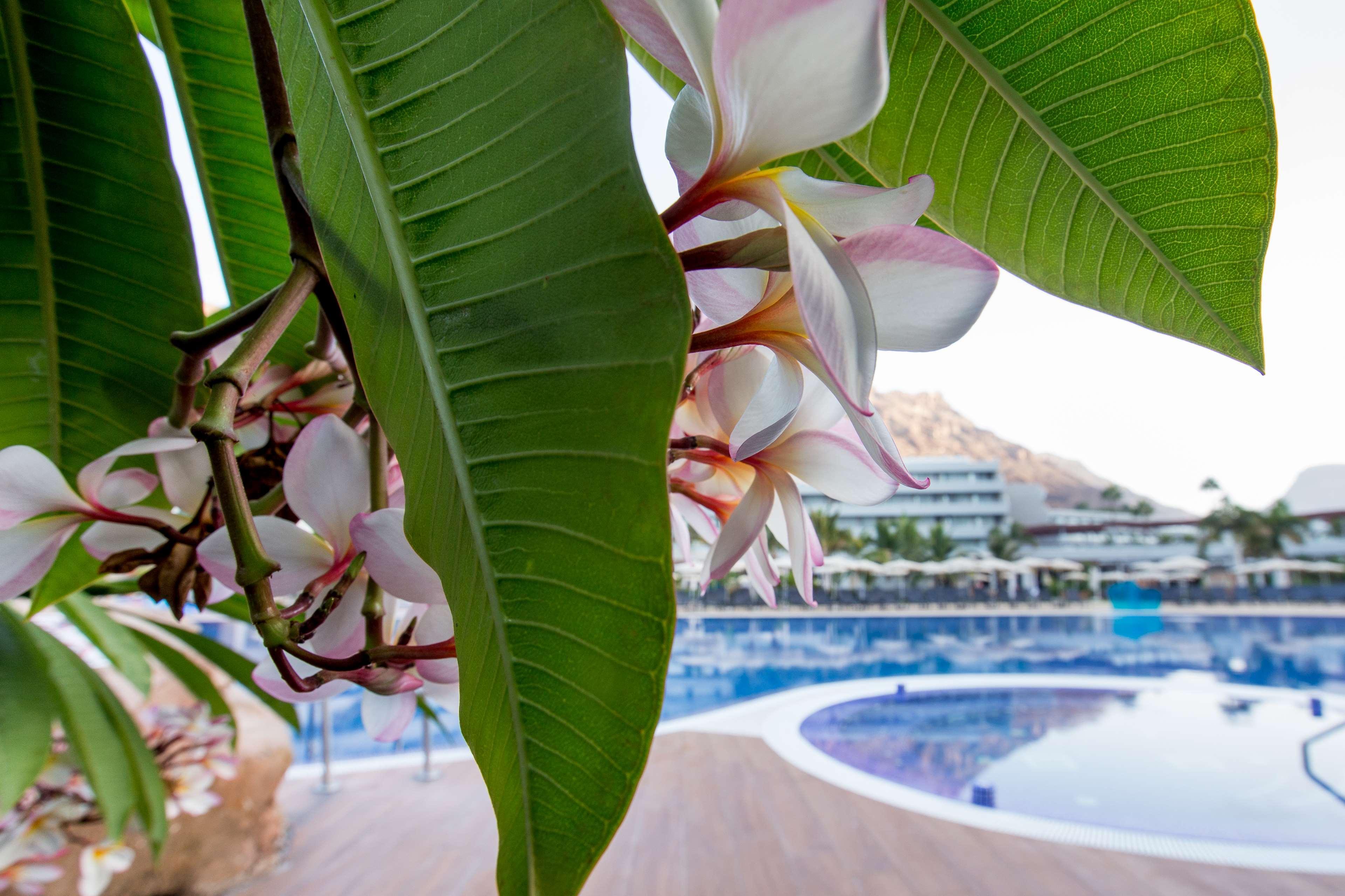 Radisson Blu & Spa, Gran Canaria Mogan Hotel 5*